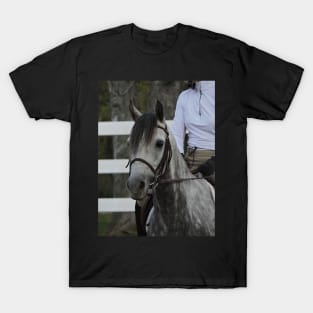 Horse show T-Shirt